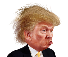 donald trump free clipart from donkey hotey